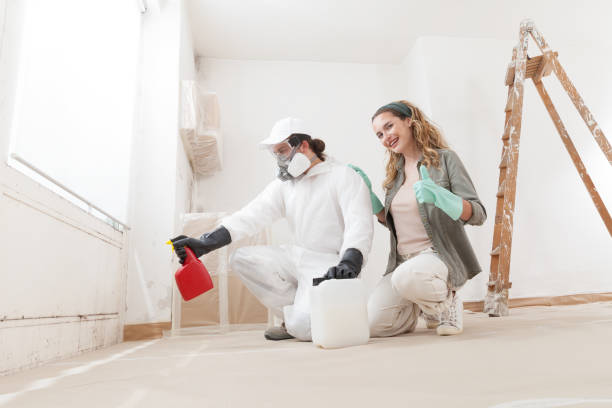 Trusted Huntertown, IN Mold Removal Experts